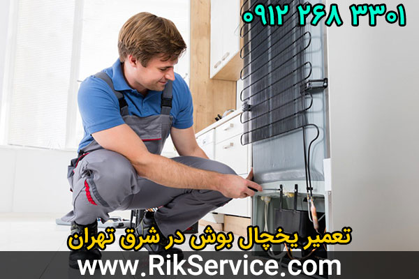 تعمیر یخچال بوش در شرق تهران