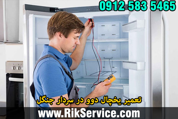 تعمیر یخچال دوو در سردار جنگل