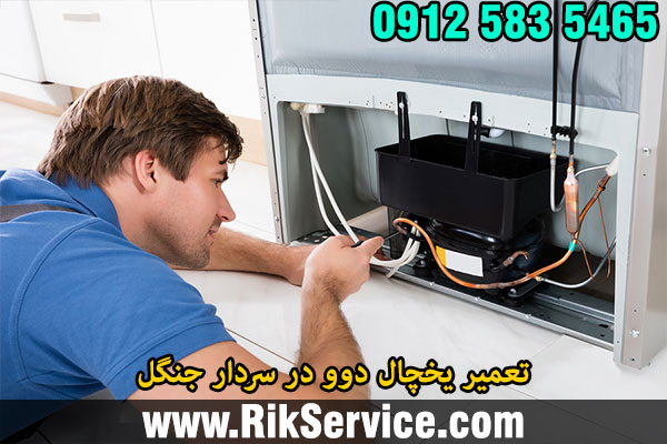 تعمیر یخچال دوو در سردار جنگل