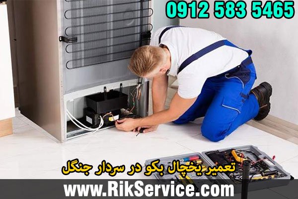 تعمیر یخچال بکو در سردار جنگل