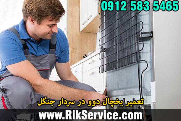 تعمیر یخچال دوو در سردار جنگل