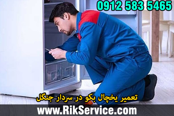 تعمیر یخچال بکو در سردار جنگل